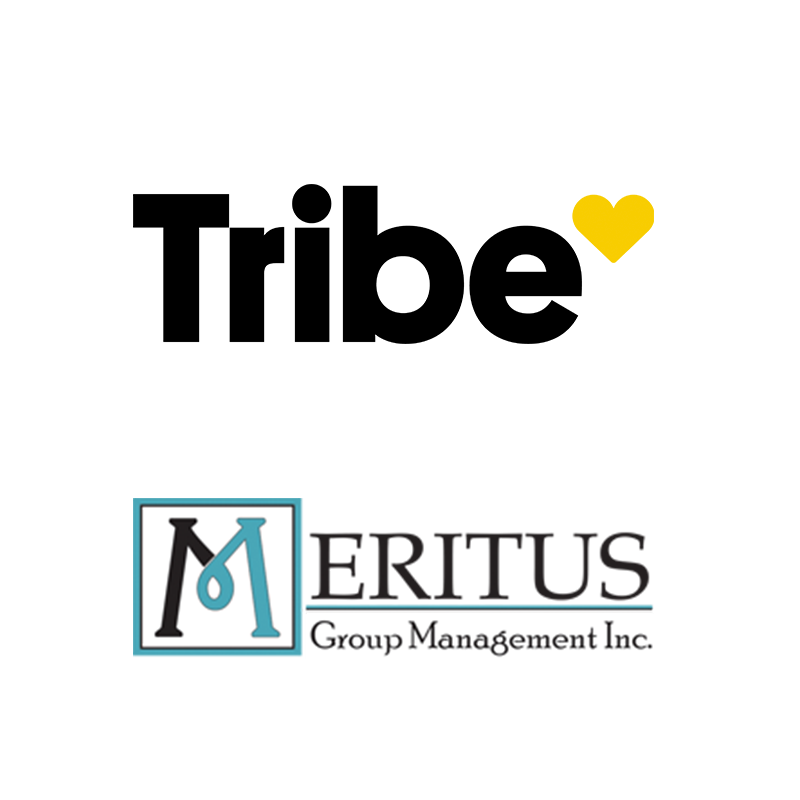 Management Services - Tribe Management and Meritus Group